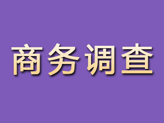 洛阳商务调查